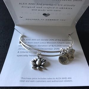 Alex & Ani Bracelet